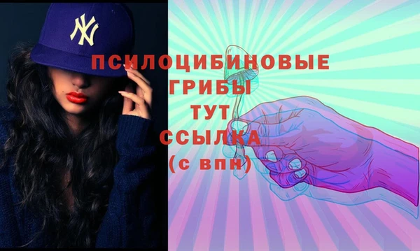 каннабис Ельня