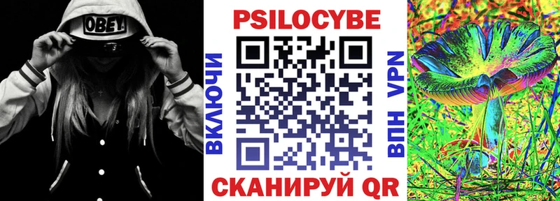 Псилоцибиновые грибы мухоморы  Купить закладки  Заводоуковск 